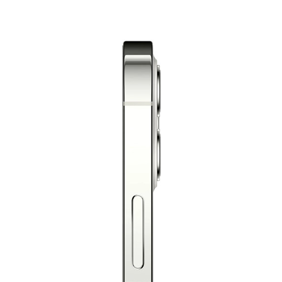 Apple iPhone 12 Pro Max Silver 256GB B Обновени