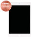 LCD дисплей за iPad Mini 5, White, Тъчскрийн без рамка, Refurbished