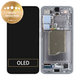 Дисплей за Samsung Galaxy S25, тъч стъкло с рамка, Silver Shadow, GH82-36329A, Genuine Service Pack